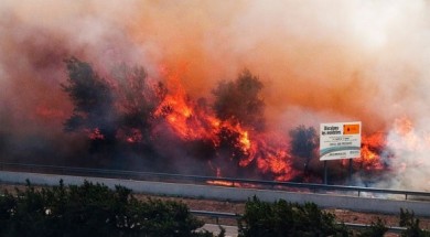 Incendiu de pădure