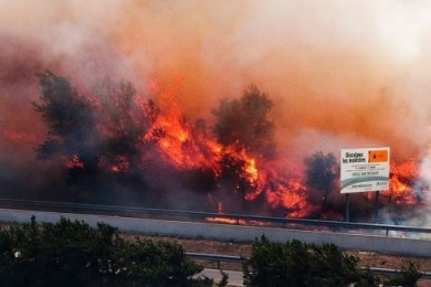 Incendiu de pădure